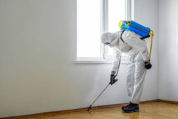 Best Pest Control for Multi-Family Homes  in Lookout Mountain, GA